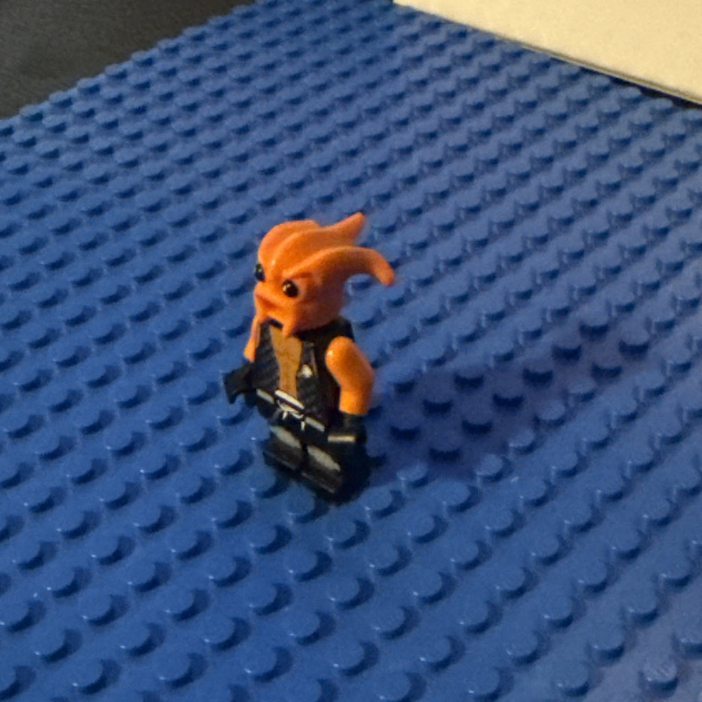 Image #3