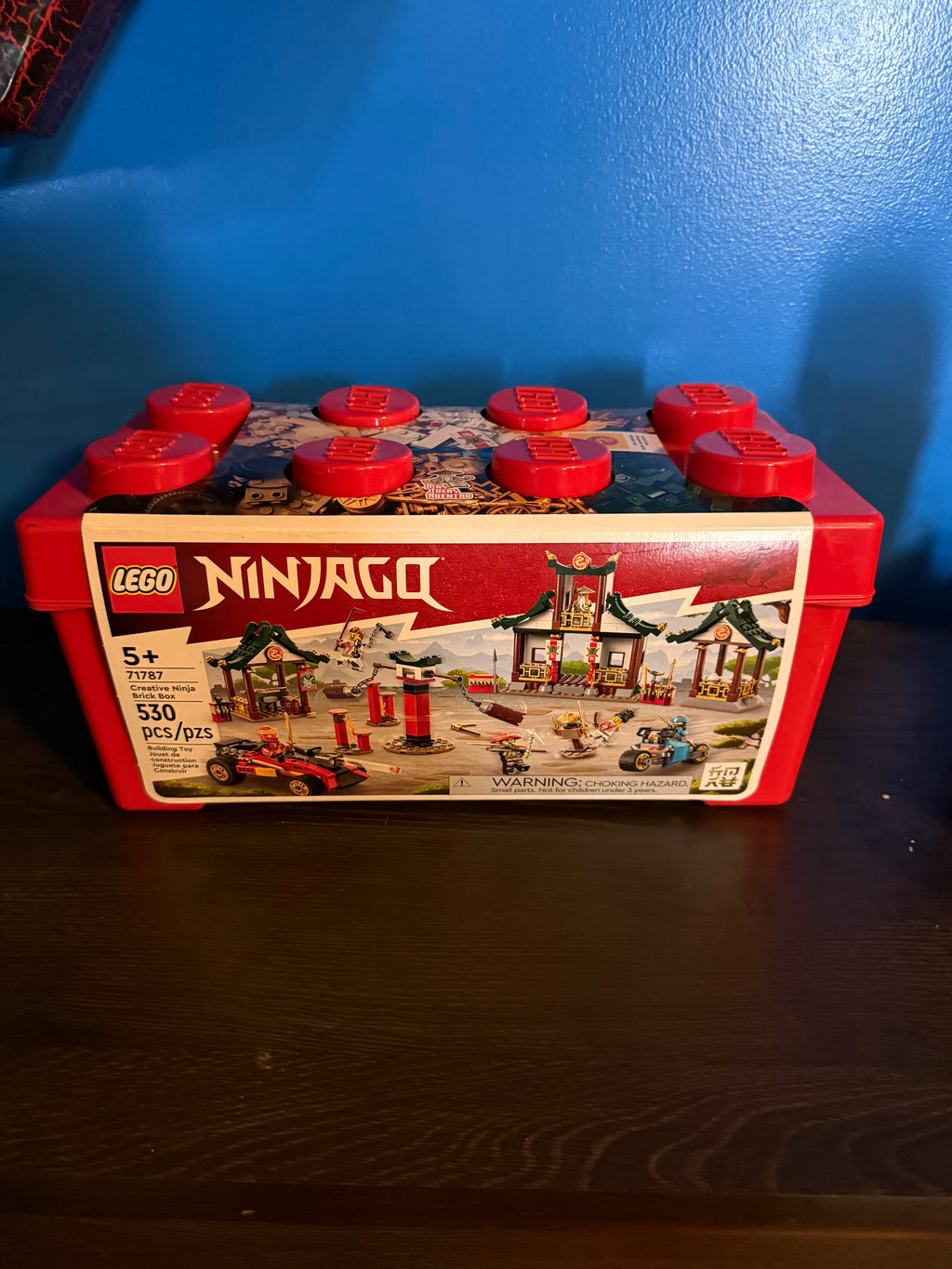 Lego Ninjago Creative Ninja Brick Box 71787
