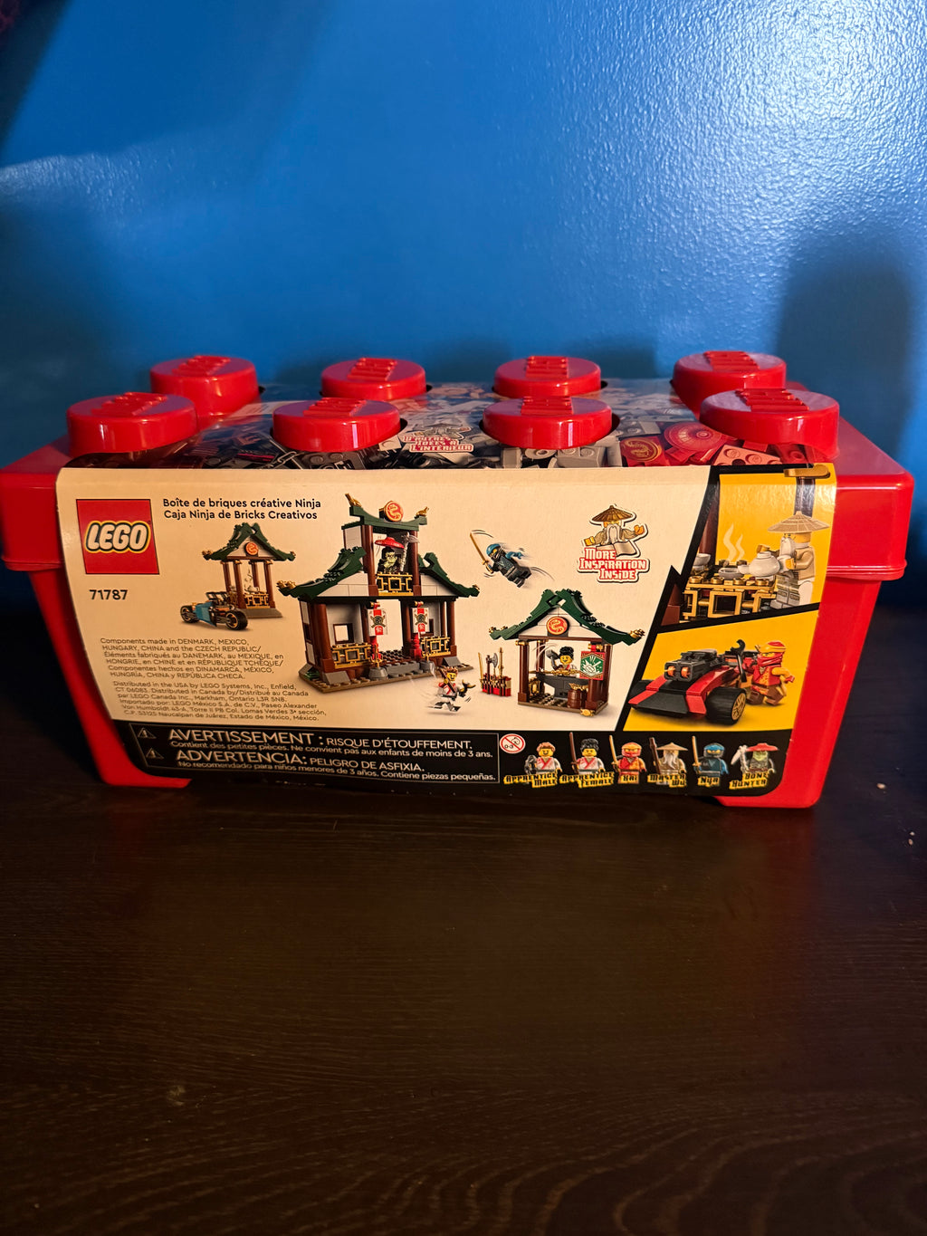 Lego Ninjago Creative Ninja Brick Box 71787
