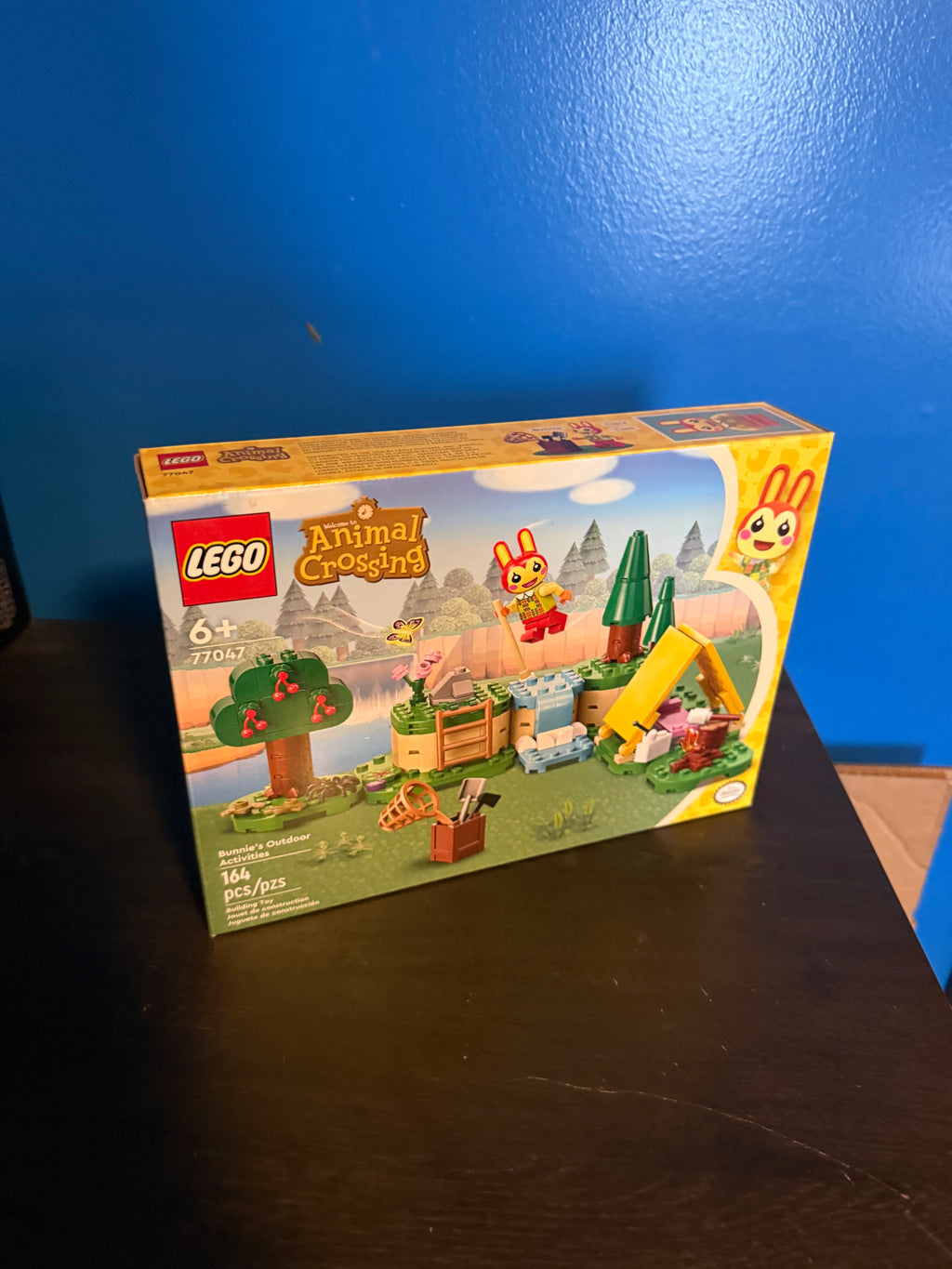 Bunnies outdoor activities 77047