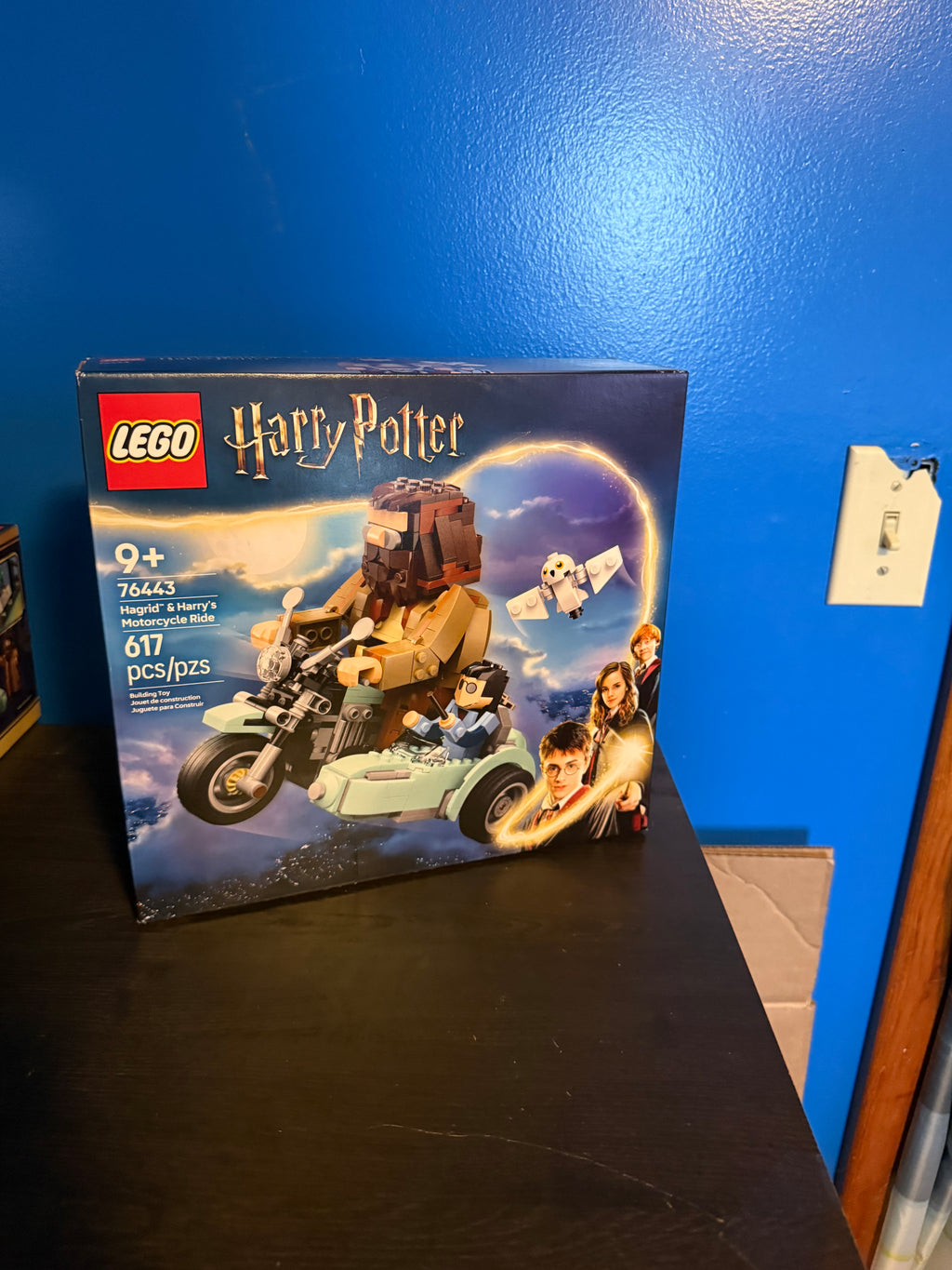 Hagrids & Harry’s Motorcycle ride 76443