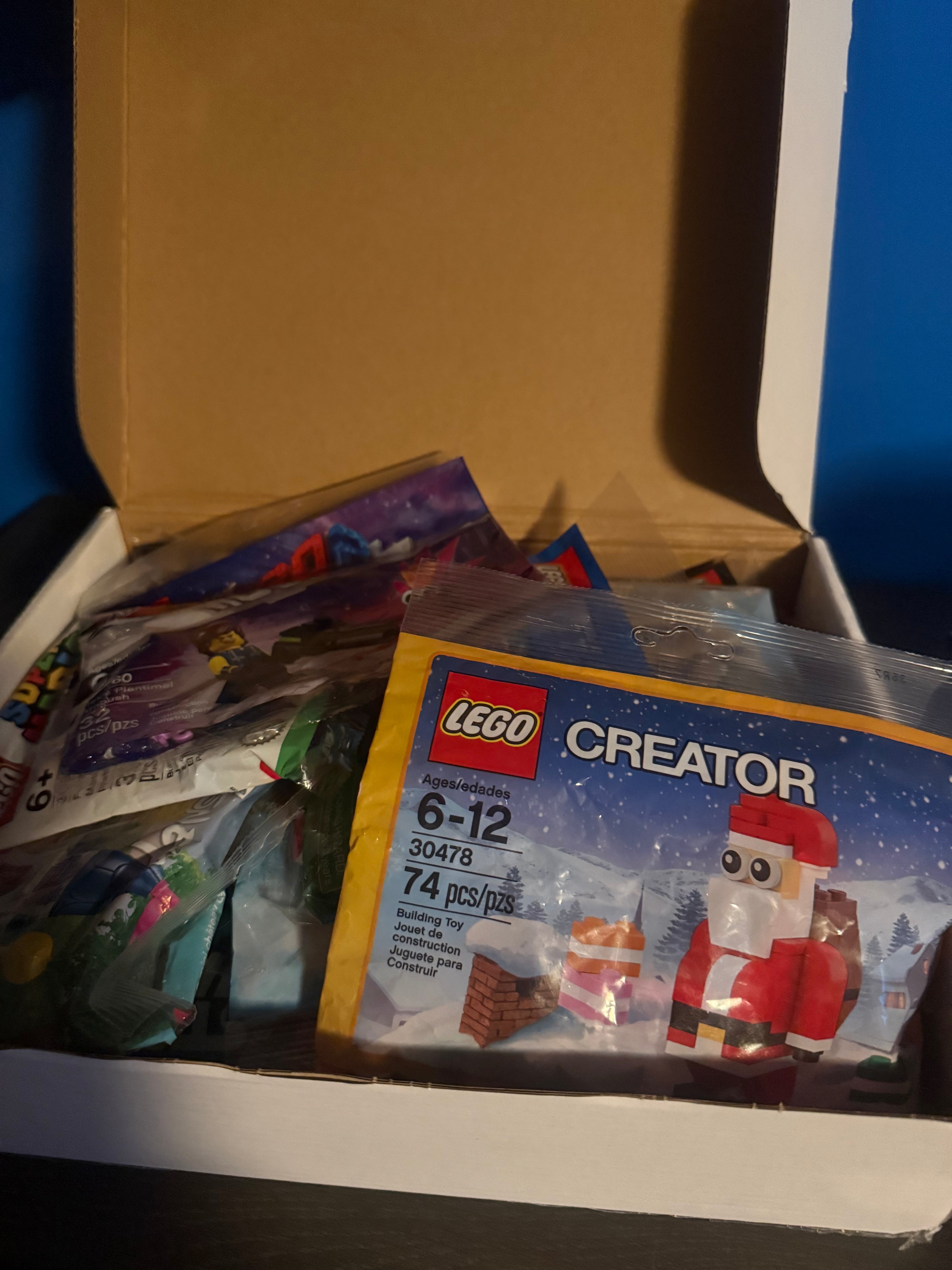 Mystery Lego poly bag